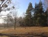 Dzialka Sprzedaż